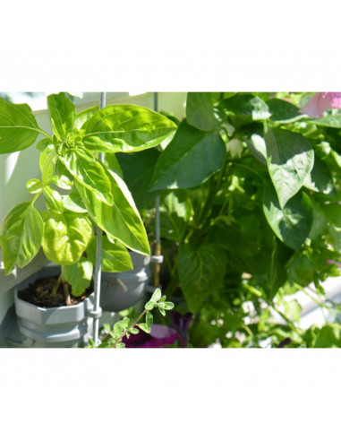 Mobiles Hochbeet Starter Set