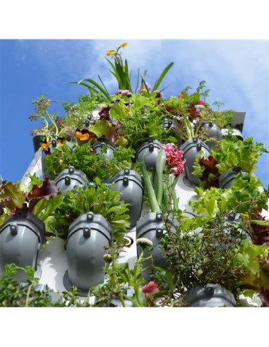 mobiles Hochbeet voll bestückt mit Setzlingen