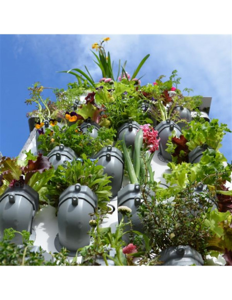 mobiles Hochbeet voll bestückt mit Setzlingen