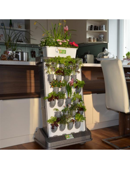 Mobiles Hochbeet Indoor