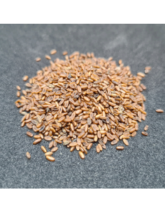 Bio Spitzwegerich - 50 gr 2
