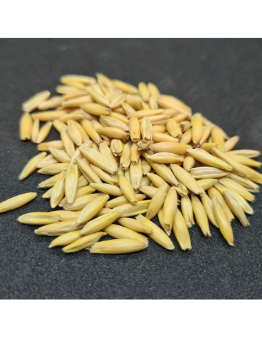 Bio Hafer - 1.000 gr