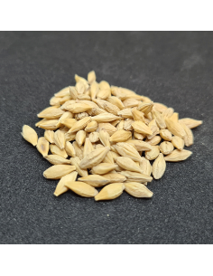 Bio Gerste - 1.000 gr 2