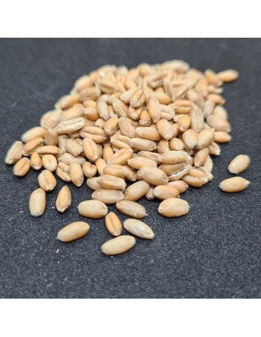 Bio Weizen - 1.000 gr