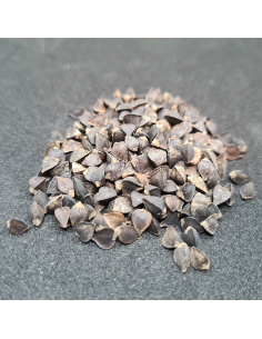 Bio Buchweizen - 500 gr 2