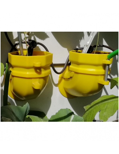 Automatische Bewässerung 2 Zonen