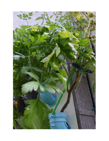 Rankhilfe für mobile Hochbeete