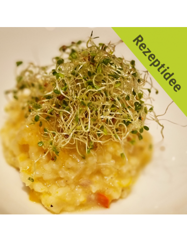 Kürbisrisooto mit Rotkleesprossen