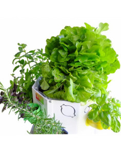 Mobiles Hochbeet Mini 2