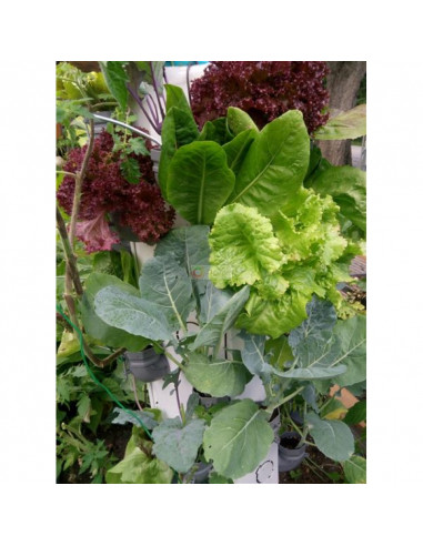 Mobiles Hochbeet Maxi